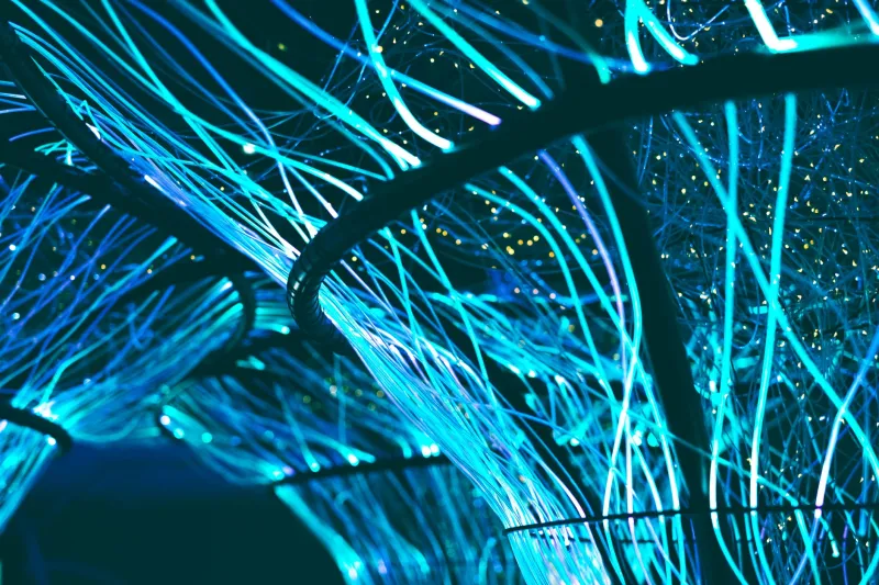 Wired to Spin: What's Actually Happening in Your Brain Every Time You Hit That Button
